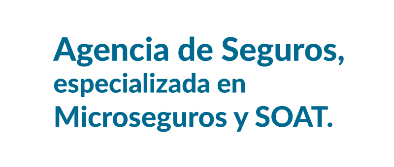 seguros@2x.png